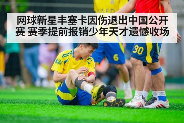 网球新星丰塞卡因伤退出中国公开赛 赛季提前报销少年天才遗憾收场