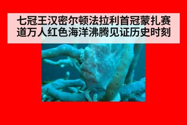 七冠王汉密尔顿法拉利首冠蒙扎赛道万人红色海洋沸腾见证历史时刻