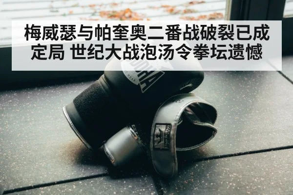 boxing gloves